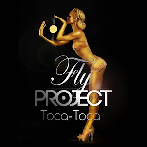 Fly Project