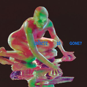 Fontaines D.C. — Where Is Gone? (feat. Rosalía)