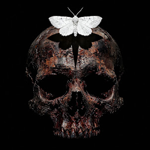 Hex Blood — Fading To Grey