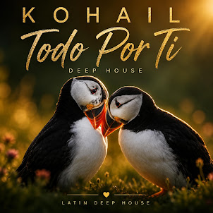 Kohail