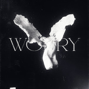 Worry (Ultra Slowed) (feat. Riserayss)