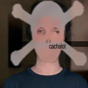 Cachalot