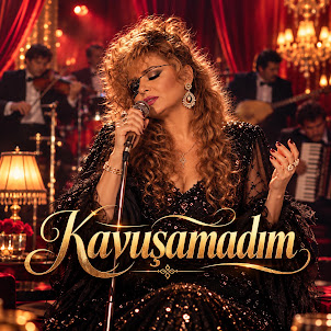 Sevda Yalçin — Kavuşamadım
