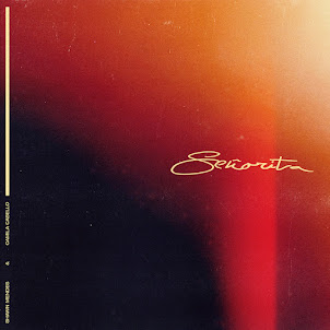 Señorita (feat. Camila Cabello)